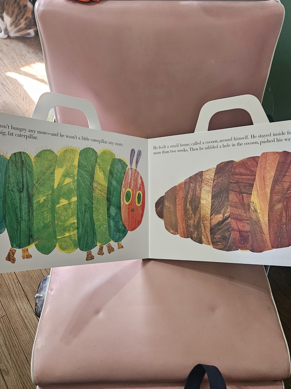 Very Hungry Caterpillar Giant Board Book - Picture 7 of 8